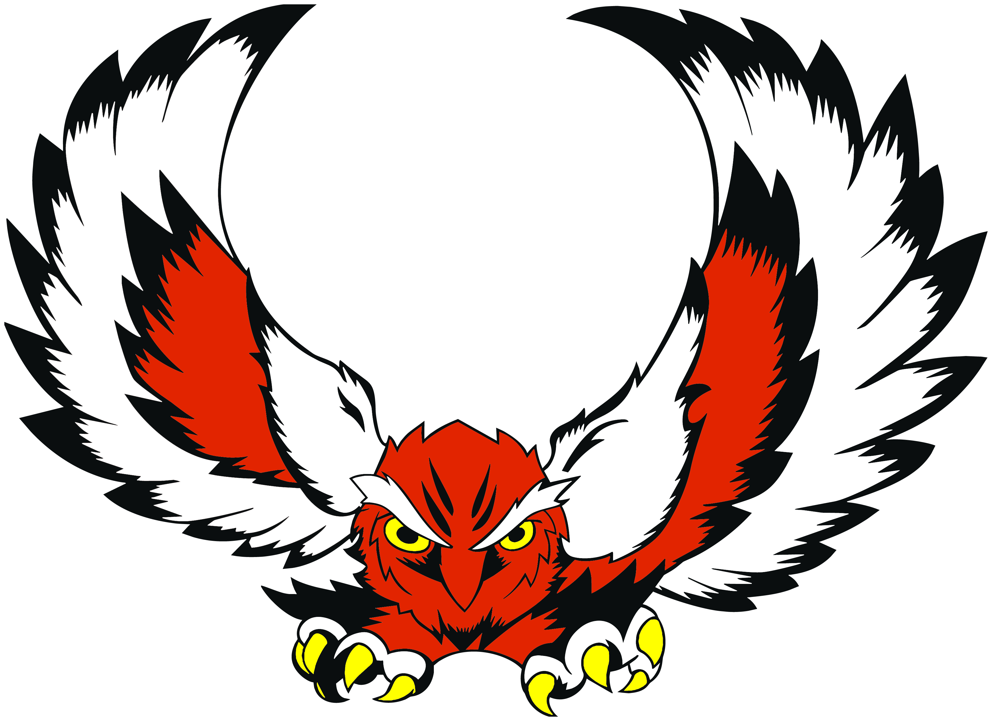 District Logo
